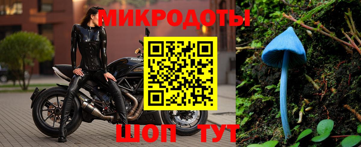 Псилоцибиновые грибы Psilocybe Лосино-Петровский