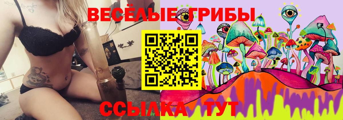 Лосино-Петровский  Псилоцибиновые грибы прущие грибы  Вход с VPN 